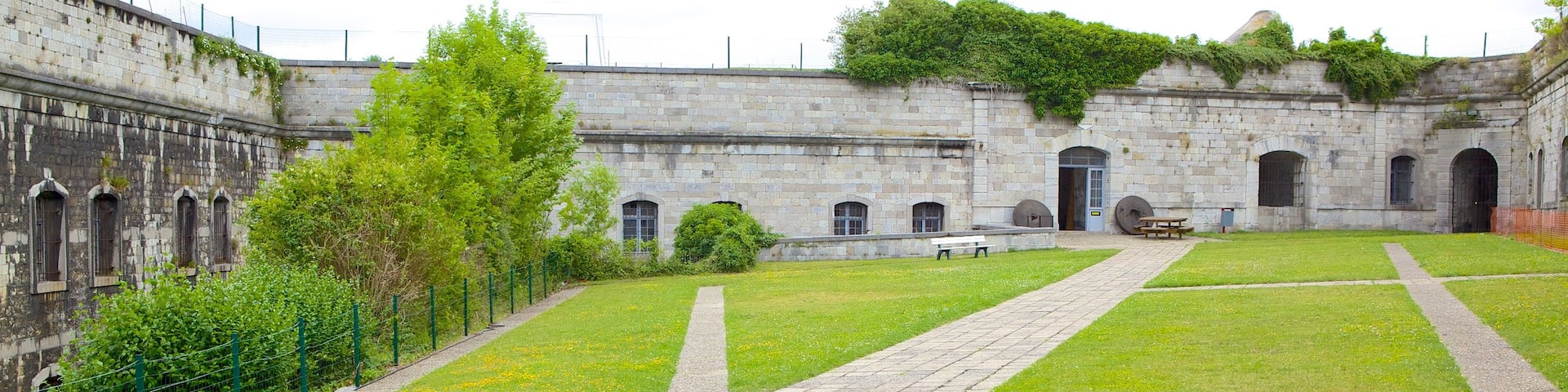 Citadel of Huy showing a garden, a castle and heritage architecture