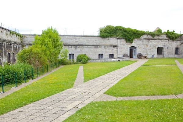 Citadel of Huy showing château or palace, heritage architecture and a park