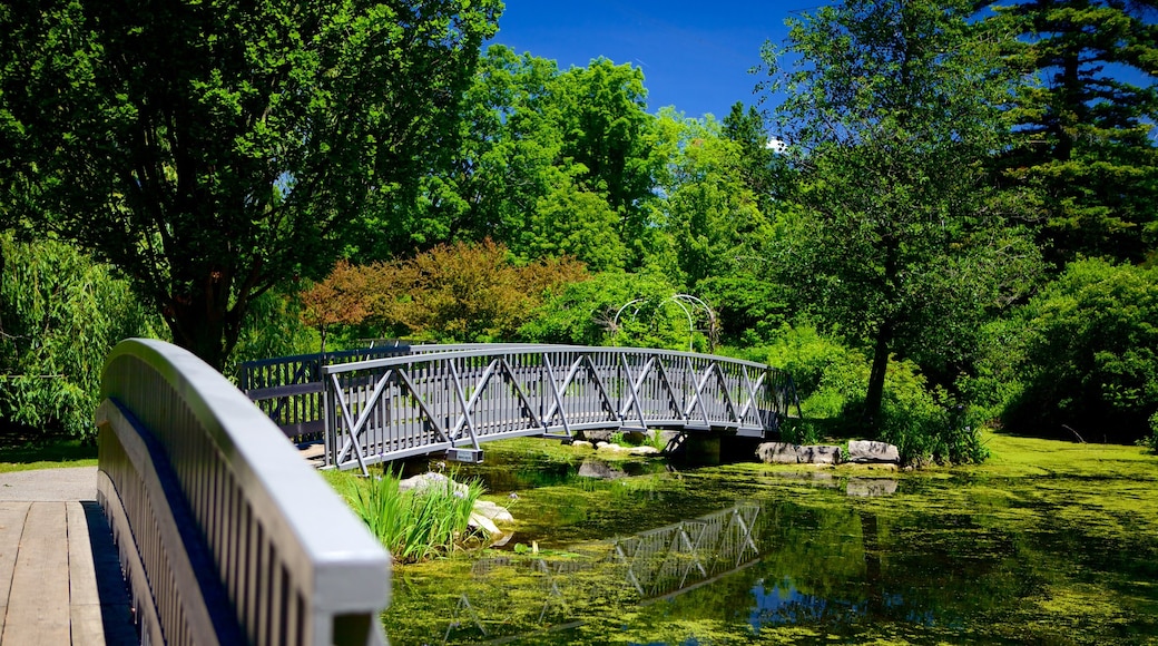 St. Thomas featuring a bridge and a pond