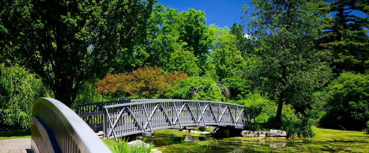 St. Thomas showing a bridge and a pond