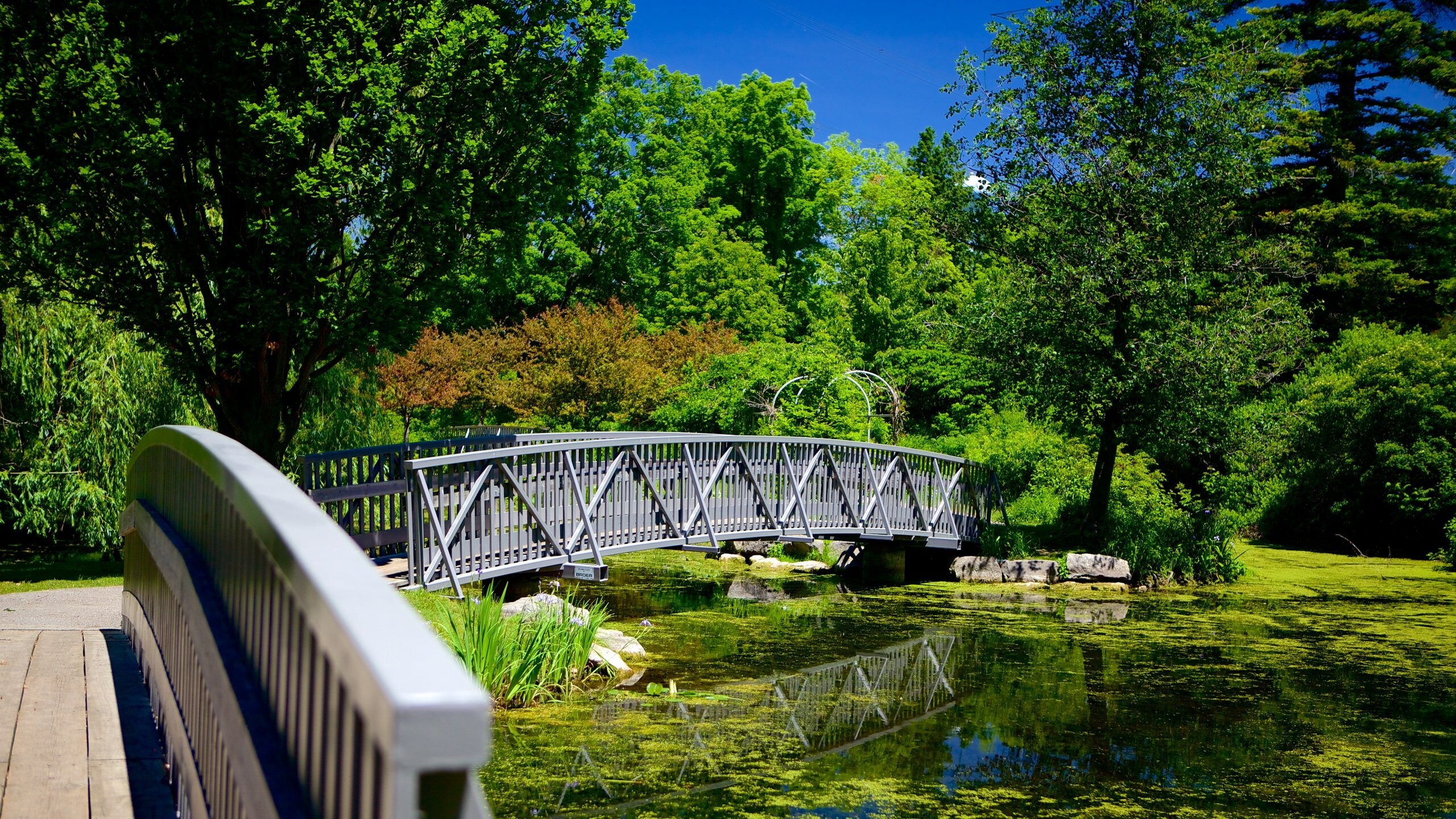 Visit London Best Of London Ontario Travel 2023 Expedia Tourism