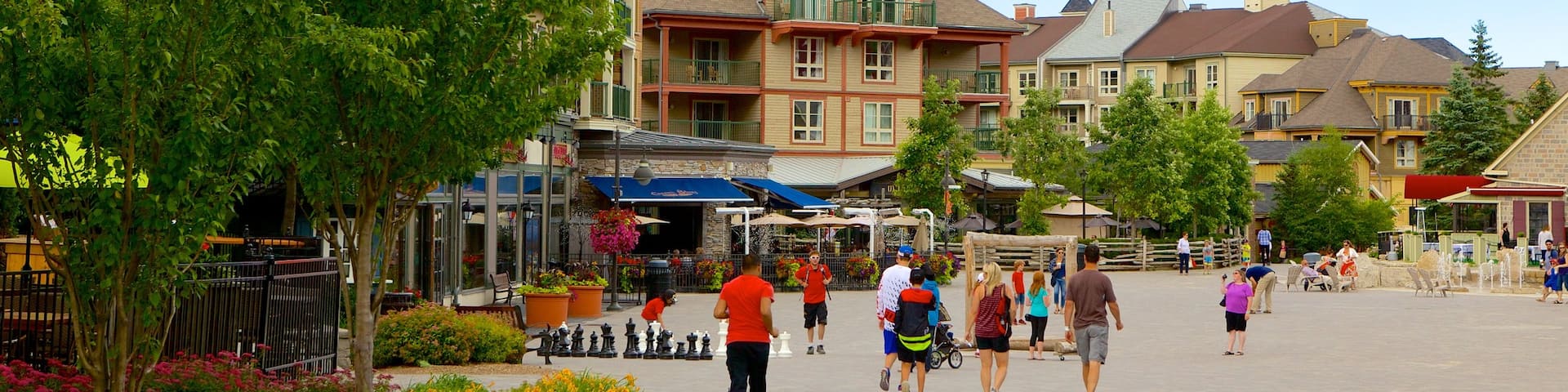 Barrie - Orillia which includes a small town or village