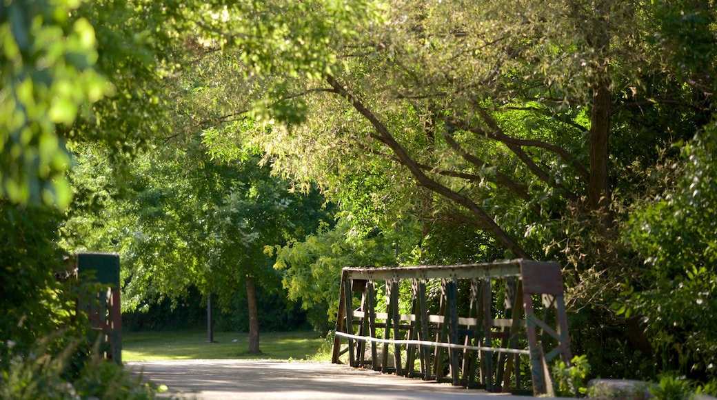 Collingwood inclusief een brug en een park