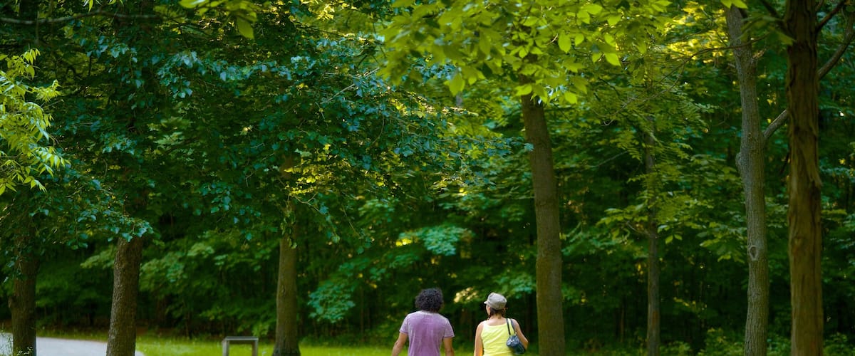 Barrie Arboretum at Sunnidale Park