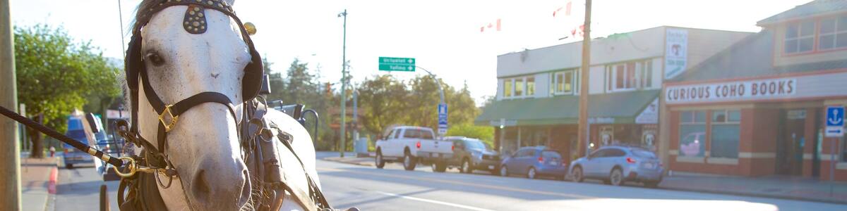 Port Alberni das einen Landtiere und Straßenszenen