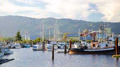 Port Alberni showing a marina