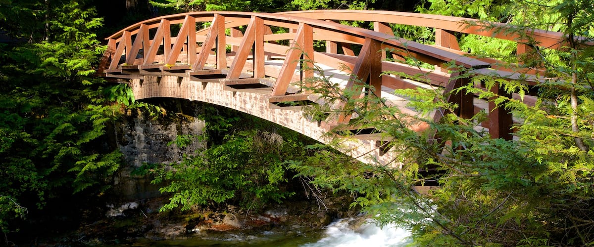 Parc provincial de Little Qualicum Falls mettant en vedette pont et riviĂšre ou ruisseau