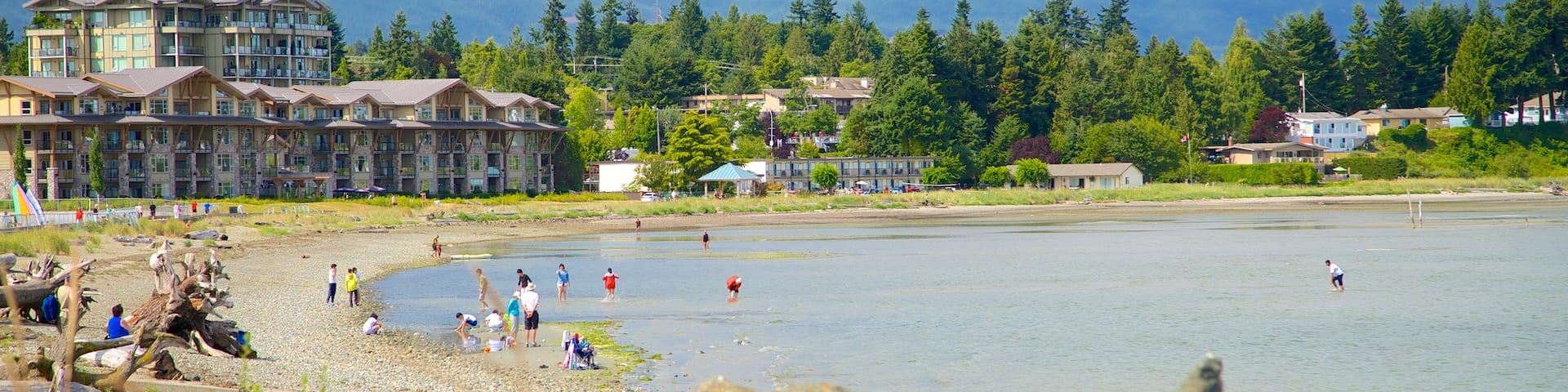 Parksville Beach featuring rugged coastline and a pebble beach