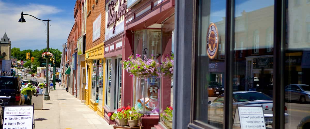 Ingersoll featuring a small town or village and street scenes