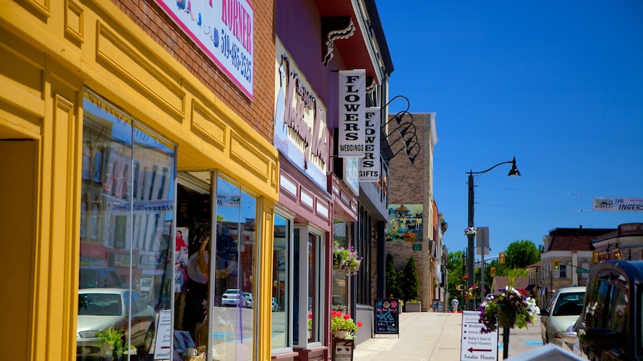 Ingersoll featuring street scenes and a small town or village