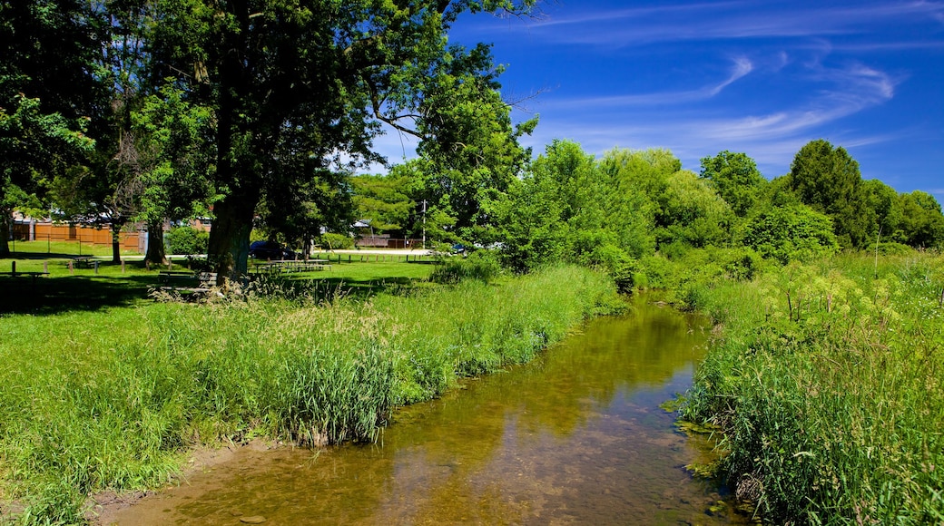 Ingersoll showing a river or creek