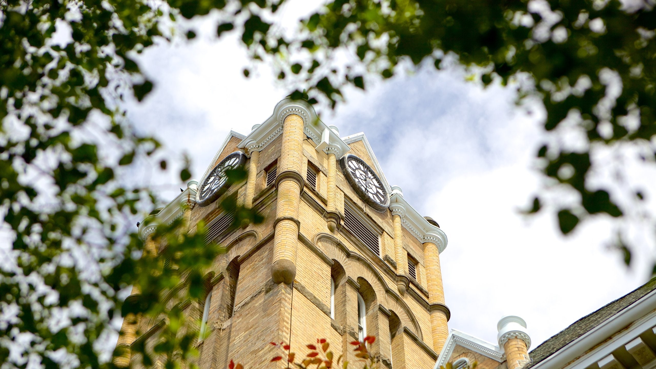 Saint Thomas, ON Vacation Rentals house rentals & more Vrbo