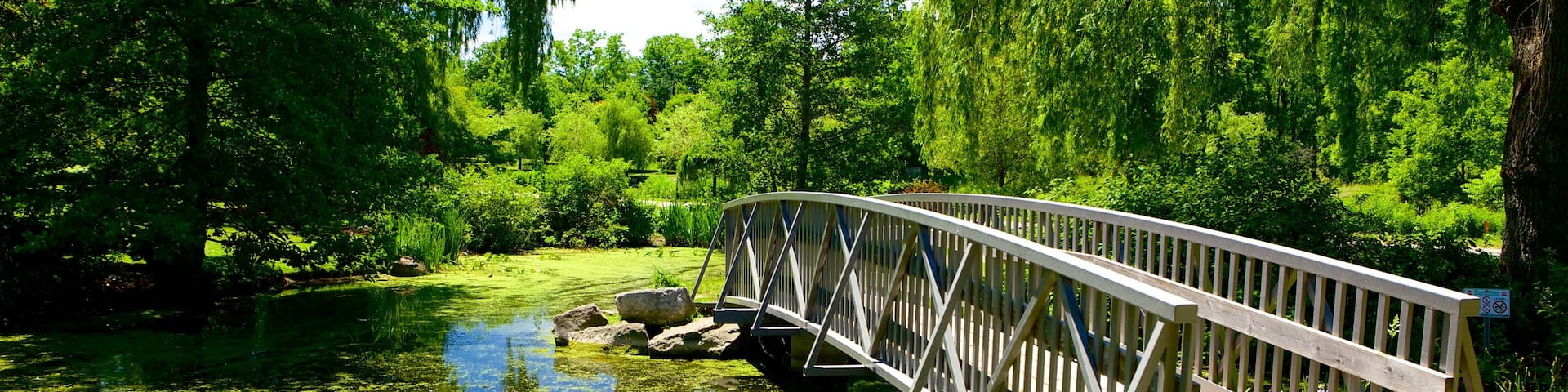 St. Thomas featuring a pond and a bridge