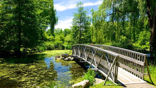 St. Thomas featuring a pond and a bridge