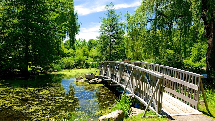 St. Thomas featuring a pond and a bridge