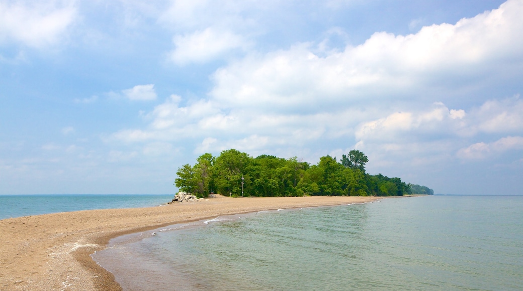 Point Pelee presenterar en stenstrand