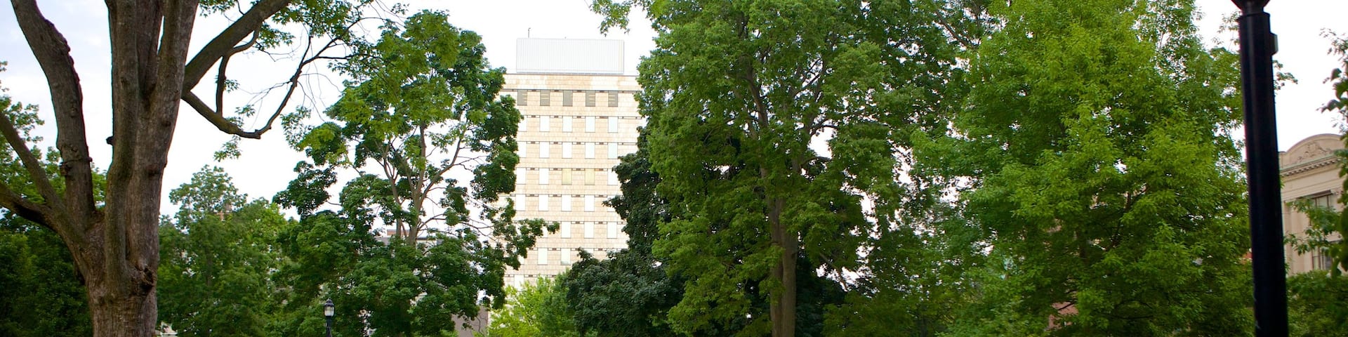 Victoria Park showing a garden