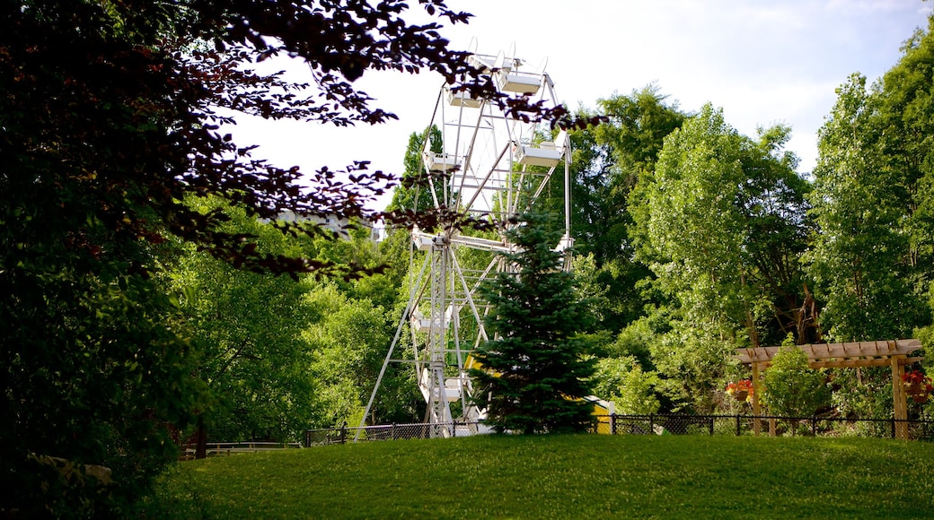 Storybook Gardens showing a park