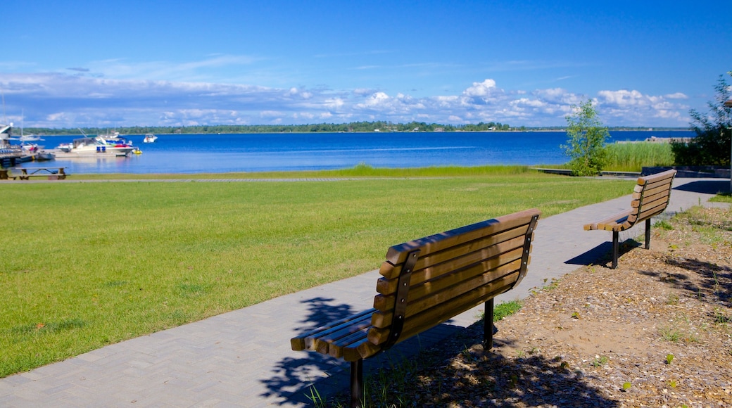 Georgian Bay Islands som inkluderar en trädgård och kustutsikter