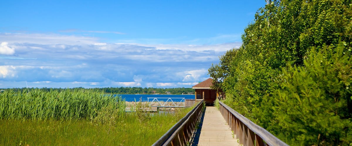Georgian Bay Islands National Park which includes a bridge