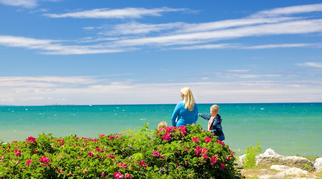 Sunset Point Park showing flowers as well as a family