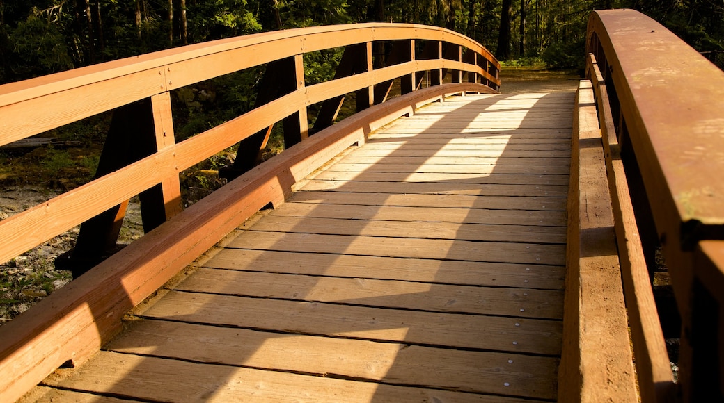 Little Qualicum Falls Provincial Park toont een brug