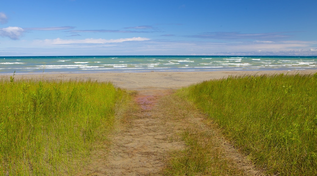 Wasaga Beach Provincial Park which includes a sandy beach