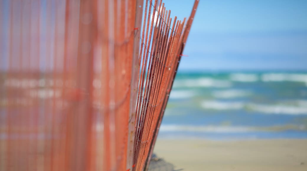 Wasaga Beach Provincial Park