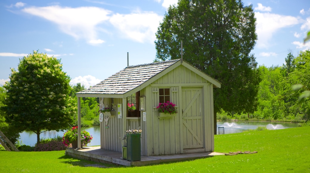 Cuevas de Collingwood