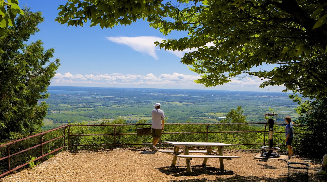 Cuevas de Collingwood ofreciendo vistas