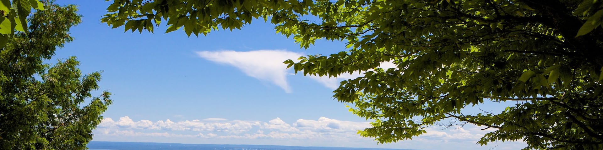 Collingwood Scenic Caves showing views