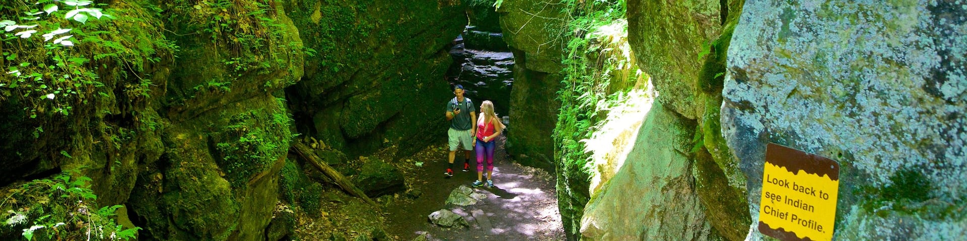 Collingwood Scenic Caves which includes caving and caves