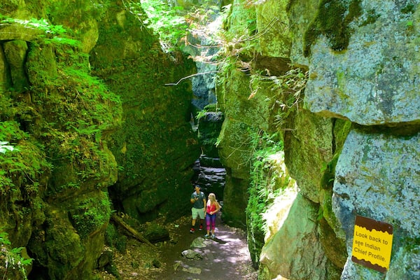 Collingwood Scenic Caves showing caving and caves