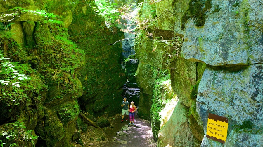 Grotte sceniche di Collingwood caratteristiche di speleologia e grotte