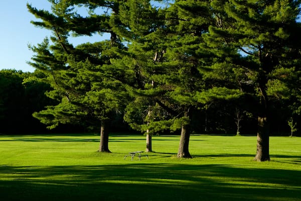 Barrie Arboretum at Sunnidale Park showing a garden