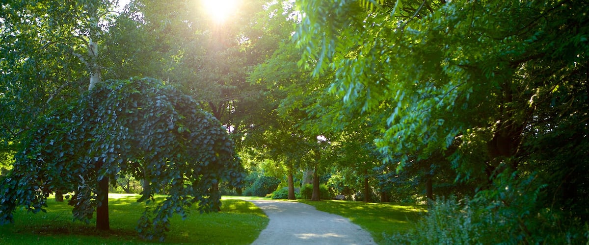 Barrie Arboretum at Sunnidale Park featuring a park