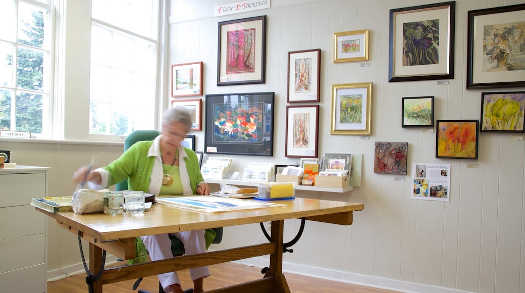 Old School House Arts Centre showing art and interior views as well as an individual femail