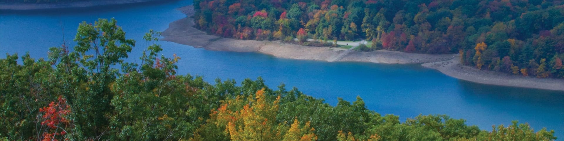 Bradford montrant scĂšnes forestiĂšres et panoramas