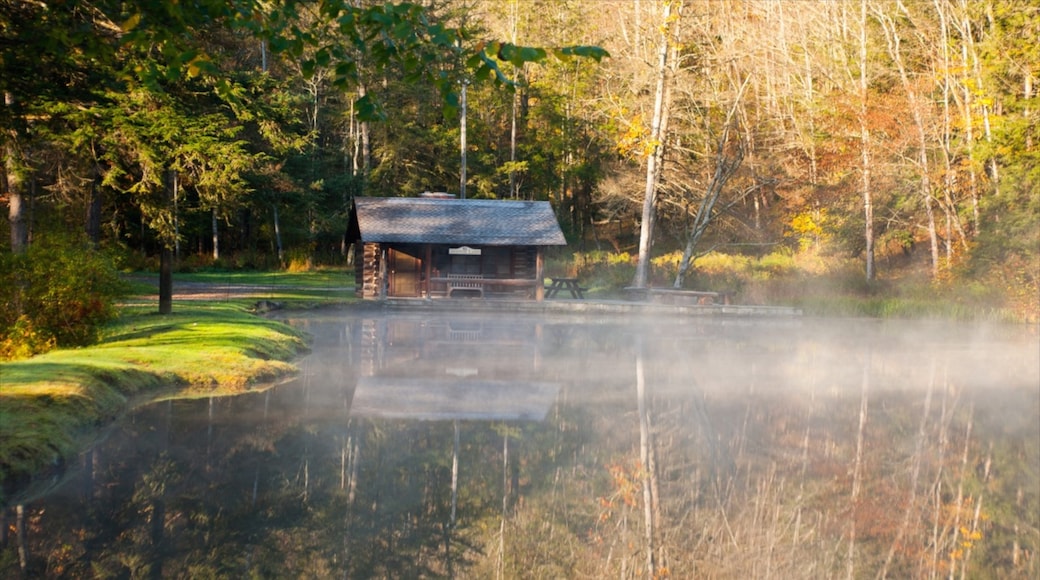 Kuvan toimittaja: Allegheny National Forest Visitors Bureau