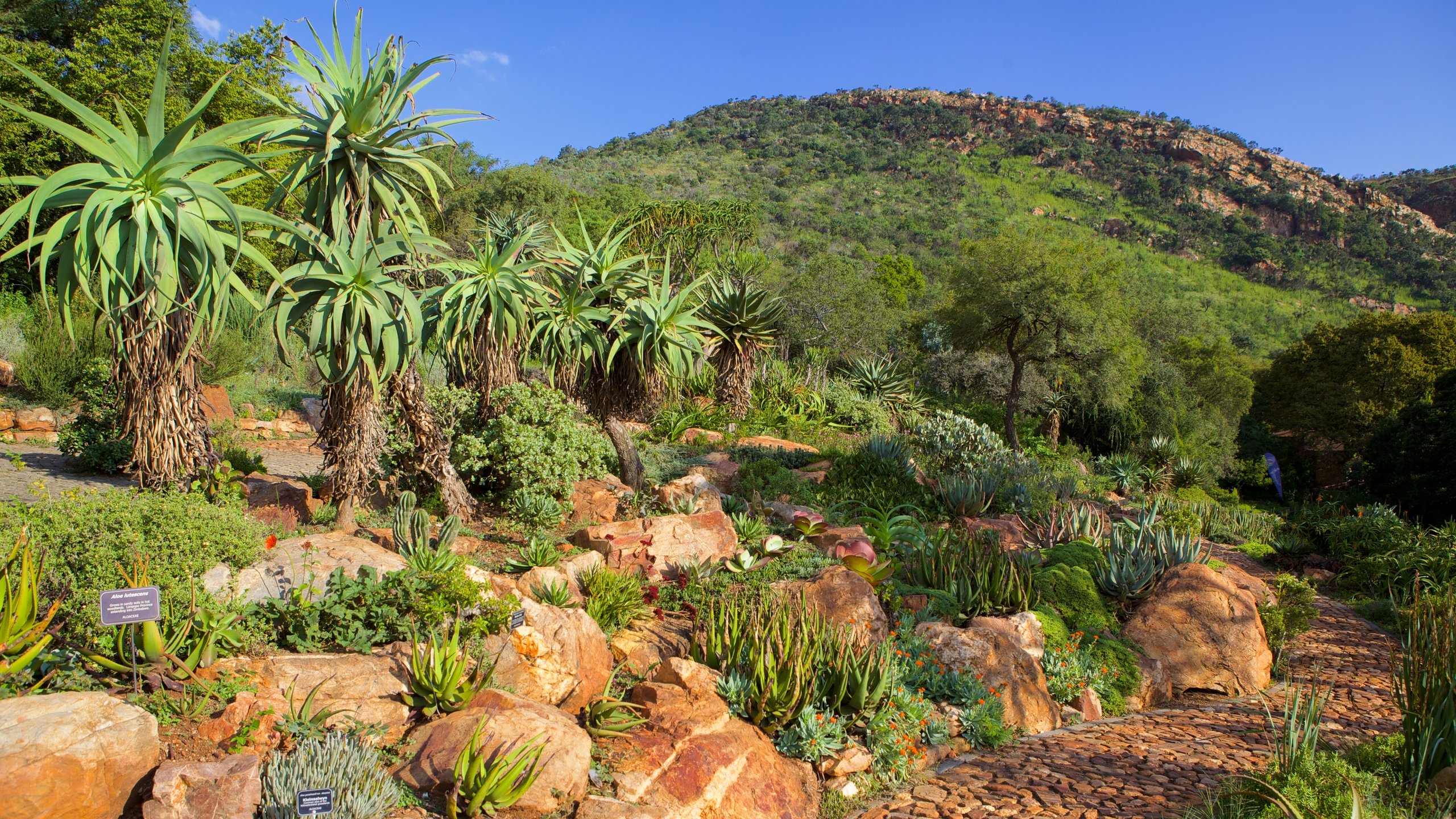 Jardim Botânico Walter Sisulu caracterizando um jardim