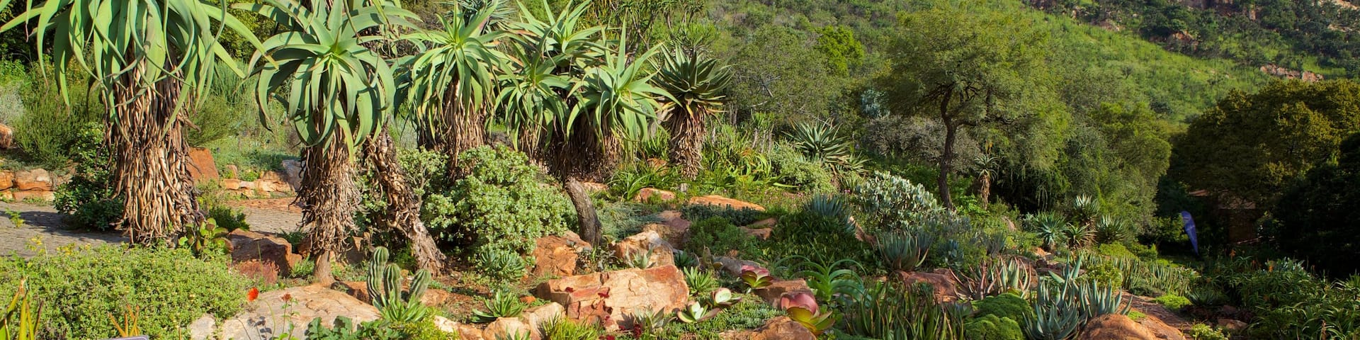 ウォルター シスル植物園 フィーチャー 公園