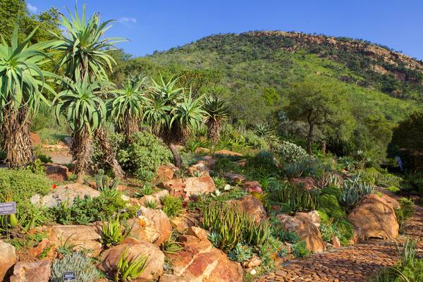 Walter Sisulu Botanical Gardens montrant parc