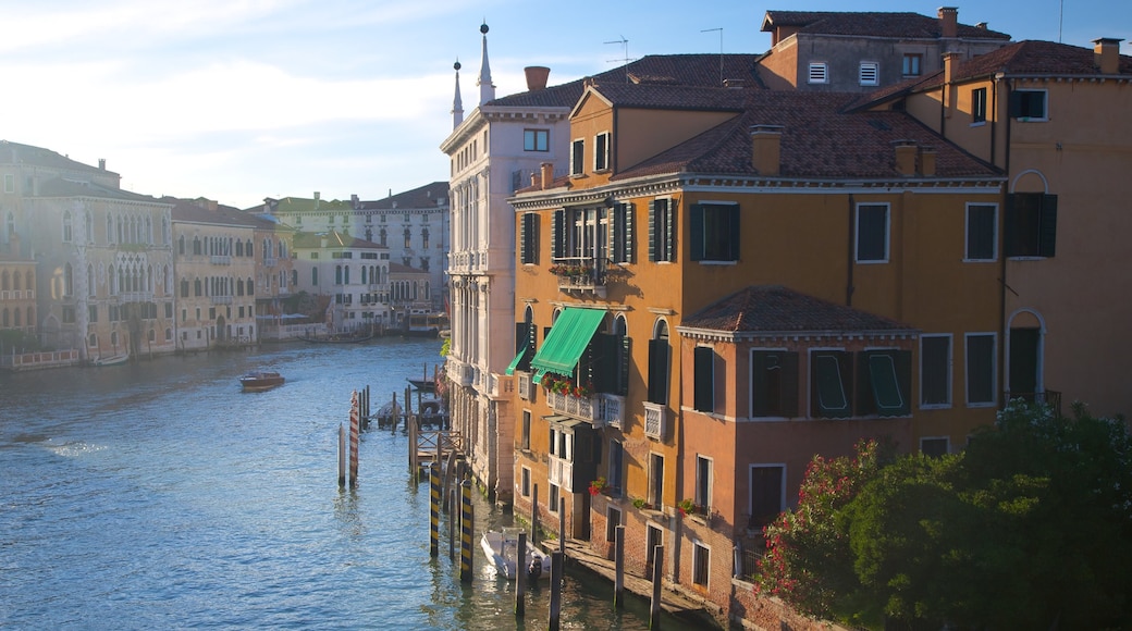 Ponte dell\'Accademia que inclui um rio ou córrego e uma casa