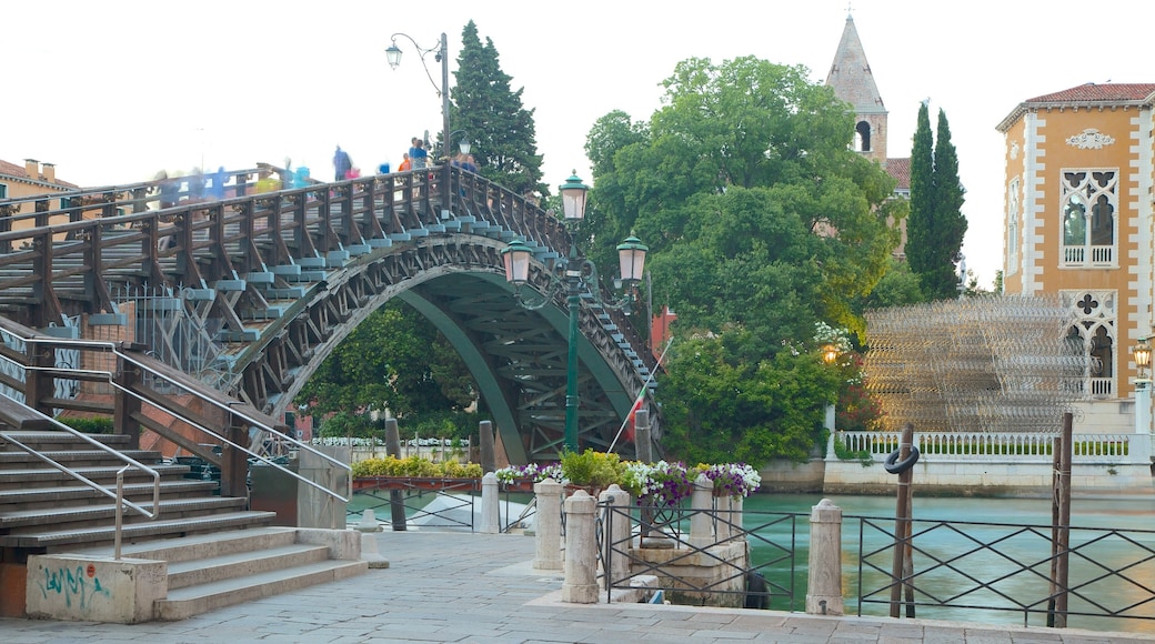 Puente de la Academia ofreciendo un río o arroyo y un puente