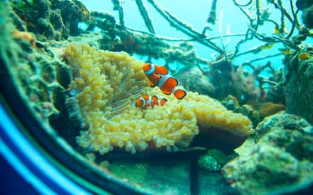 兩隻魚評價、特色體驗、房價資訊、訂房連結 – 親切管家與海景陽台 - 照片 11