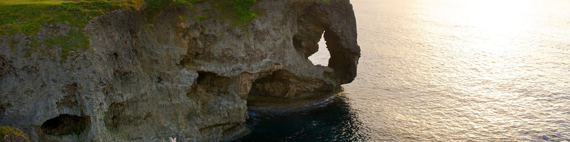 Kunigami, Okinawa (prefeitura), Japão