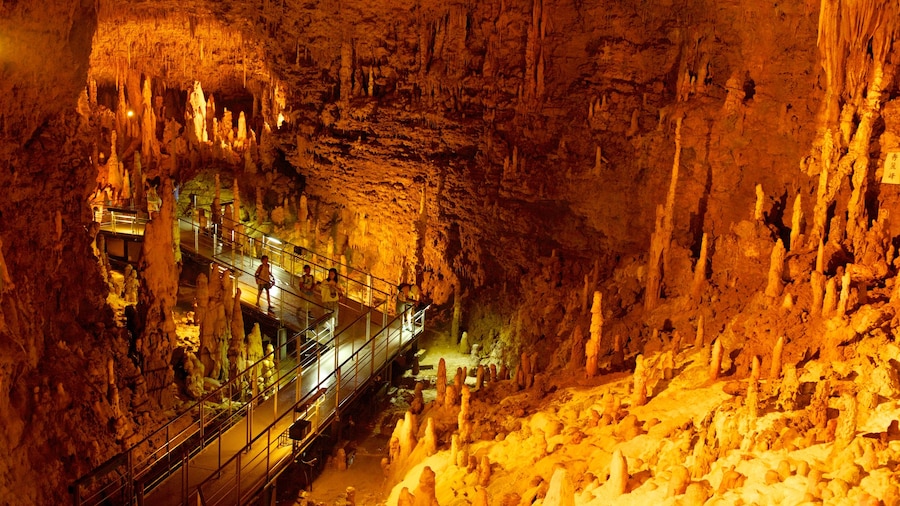 Okinawa ofreciendo espeleología, vistas de interior y un puente