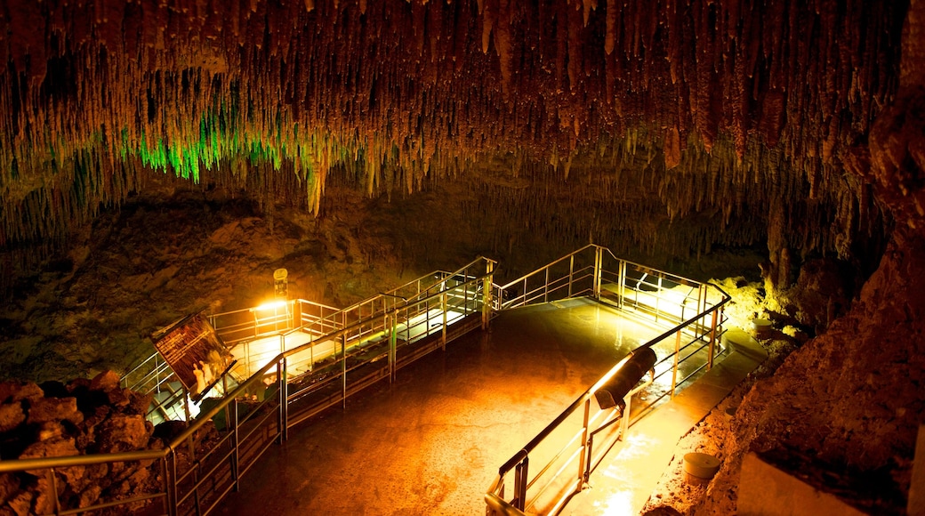 Okinawa featuring caves, interior views and a bridge