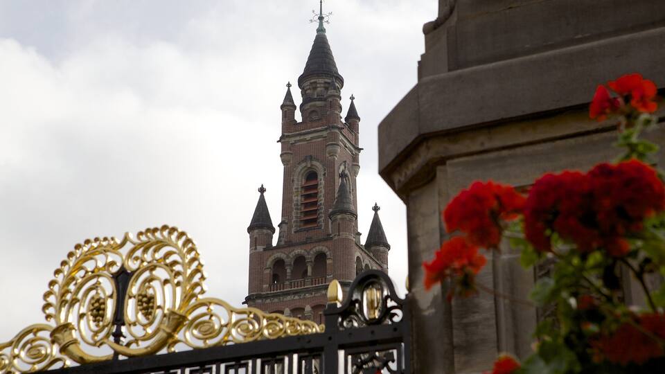Peace Palace featuring chateau or palace and heritage architecture