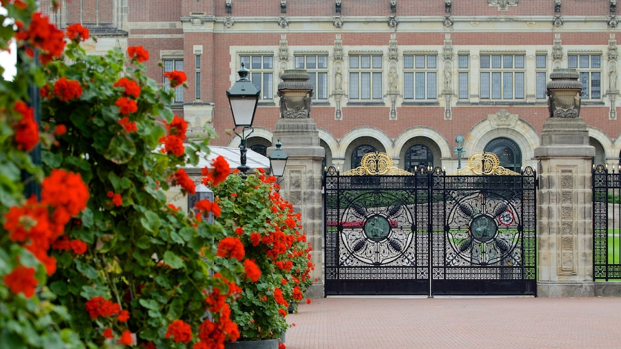 Peace Palace which includes château or palace, flowers and heritage architecture